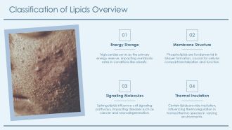 Lipid Functions Classification For Professionals PPT Slides AT Multipurpose Engaging