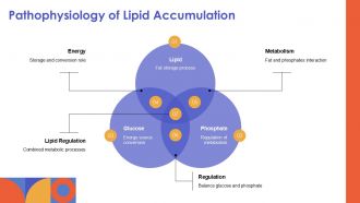 Lipogenesis In Adipose Tissue And Phosphate PPT Demonstration ACP Content Ready Good