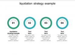 Liquidation strategy example ppt powerpoint presentation file design ideas cpb