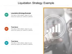 Liquidation strategy example ppt powerpoint presentation model graphic images cpb