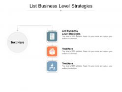 List of business level strategies ppt powerpoint presentation file rules cpb