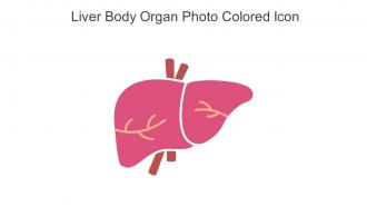 Liver Body Organ Photo Colored Icon In Powerpoint Pptx Png And Editable Eps Format