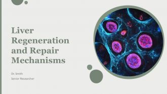 Liver Regeneration And Repair Mechanisms PPT Presentation AT