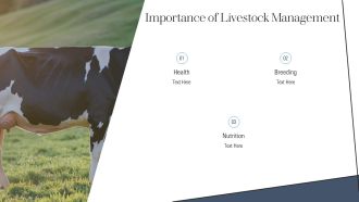 Livestock Management And Its Importance PPT Sample AT Downloadable Unique