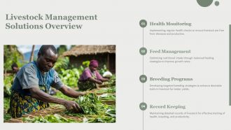 Livestock Management Solutions By Agriculture Consultants PPT Summary AT Adaptable Interactive