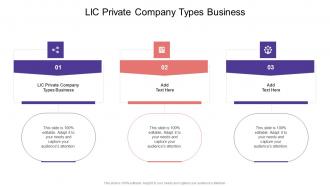 LLC Private Company Types Business In Powerpoint And Google Slides Cpb