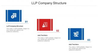 LLP Company Structure Ppt Powerpoint Presentation Professional Graphics Cpb