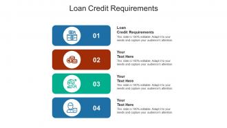 Loan credit requirements ppt powerpoint presentation portfolio graphics example cpb