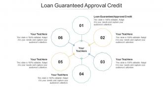 Loan guaranteed approval credit ppt powerpoint presentation portfolio structure cpb