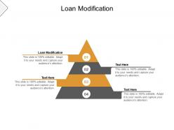 Loan modification ppt powerpoint presentation inspiration backgrounds cpb