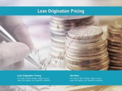 Loan origination pricing ppt presentation inspiration diagrams cpb