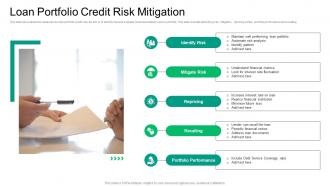 Loan Portfolio Credit Risk Mitigation