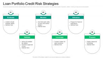 Loan Portfolio Credit Risk Strategies
