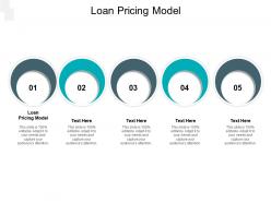 Loan pricing model ppt powerpoint presentation inspiration picture cpb