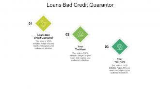 Loans bad credit guarantor ppt powerpoint presentation layouts elements cpb