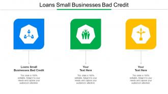 Loans Small Businesses Bad Credit Ppt Powerpoint Presentation Professional Examples Cpb