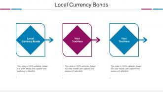Local Currency Bonds Ppt Powerpoint Presentation Show Templates Cpb