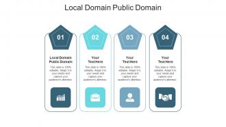 Local domain public domain ppt powerpoint presentation model examples cpb