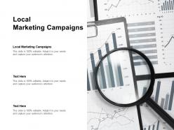 Local marketing campaigns ppt powerpoint presentation infographics graphics example cpb