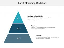 Local marketing statistics ppt powerpoint presentation gallery visuals cpb