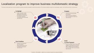 Localization Program To Improve Business Multidomestic Strategy