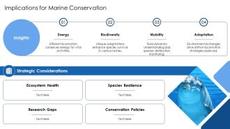 Locomotion Of Aquatic Animals Overcoming Water PPT Mockup AT Ideas Impressive