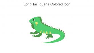 Long Tail Iguana Colored Icon In Powerpoint Pptx Png And Editable Eps Format