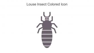 Louse Insect Colored Icon In Powerpoint Pptx Png And Editable Eps Format