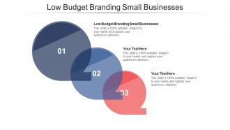 Low budget branding small businesses ppt powerpoint presentation portfolio master slide cpb
