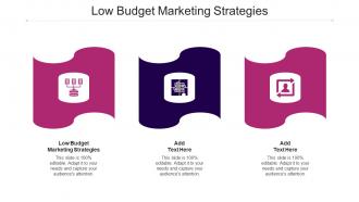 Low Budget Marketing Strategies Ppt Powerpoint Presentation Slides Cpb
