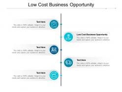 Low cost business opportunity ppt powerpoint presentation styles skills cpb