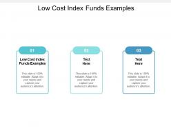 Low cost index funds examples ppt powerpoint presentation infographics infographics cpb
