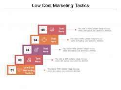 Low cost marketing tactics ppt powerpoint presentation professional design templates cpb