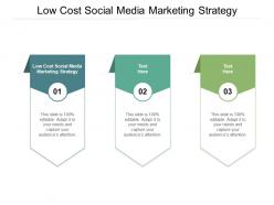 Low cost social media marketing strategy ppt powerpoint presentation professional vector cpb