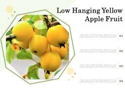 Low Hanging Yellow Apple Fruit