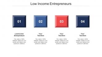 Low income entrepreneurs ppt powerpoint presentation file outfit cpb