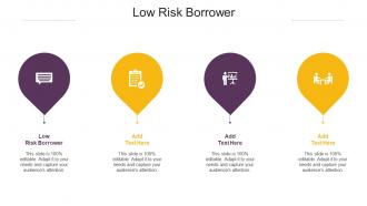 Low Risk Borrower Ppt Powerpoint Presentation Ideas Tips Cpb