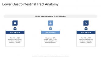 Lower Gastrointestinal Tract Anatomy In Powerpoint And Google Slides Cpb