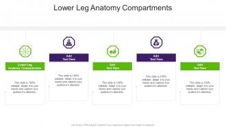 Lower Leg Anatomy Compartments In Powerpoint And Google Slides Cpb