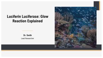 Luciferin Luciferase Glow Reaction Explained PPT Guidelines AT