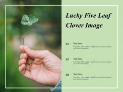 Lucky five leaf clover image
