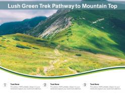 Lush Green Trek Pathway To Mountain Top