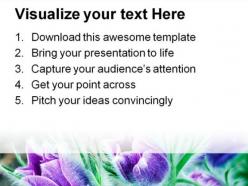 Lush pasque flowers beauty powerpoint templates and powerpoint backgrounds 0311