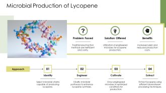 Lycopene Biosynthesis From Isoprene To Phytoene PPT Sample AT Best Researched