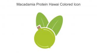 Macadamia Protein Hawai Colored Icon In Powerpoint Pptx Png And Editable Eps Format