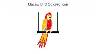 Macaw Bird Colored Icon In Powerpoint Pptx Png And Editable Eps Format