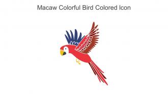Macaw Colorful Bird Colored Icon In Powerpoint Pptx Png And Editable Eps Format