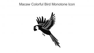 Macaw Colorful Bird Monotone Icon In Powerpoint Pptx Png And Editable Eps Format