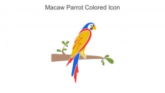 Macaw Parrot Colored Icon In Powerpoint Pptx Png And Editable Eps Format