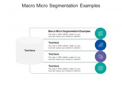 Macro micro segmentation examples ppt powerpoint presentation summary slide download cpb